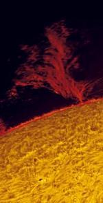 Vorschaubild für Sonnenflecken und der Lebensrhythmus der Sonne