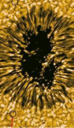 Konvektion als universelles Phänomen