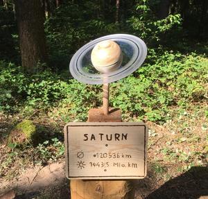 Wie die Planeten den Wald eroberten