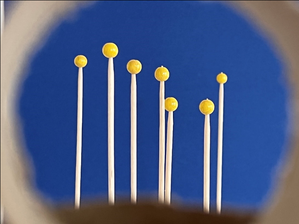 Vorschaubild für Sternbilder in 3D
