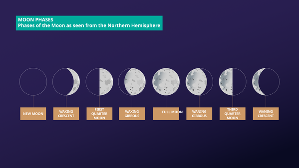 The Moon begins as dark, an illuminated portion grows from the left. Then once fully illuminated a dark portion grows from the left