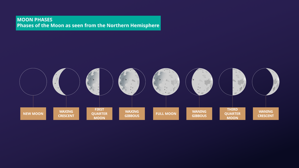 The Moon begins as dark, an illuminated portion grows from the right. Then once fully illuminated a dark portion grows from the right