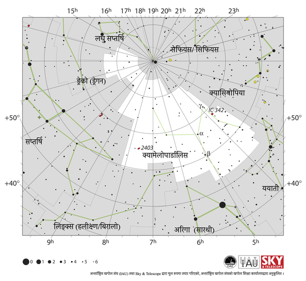 क्यामेलोपार्डालिसमा धेरै चम्किला ताराहरू र स्पष्ट आकार छैन।