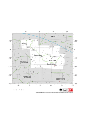 La Balena appare come due ellissi, la più piccola a nord-est della più grande, collegate da una linea.