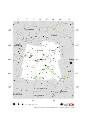 Cygnus looks like a swan in flight with the neck pointing to the lower right (south-west). Deneb is the tail