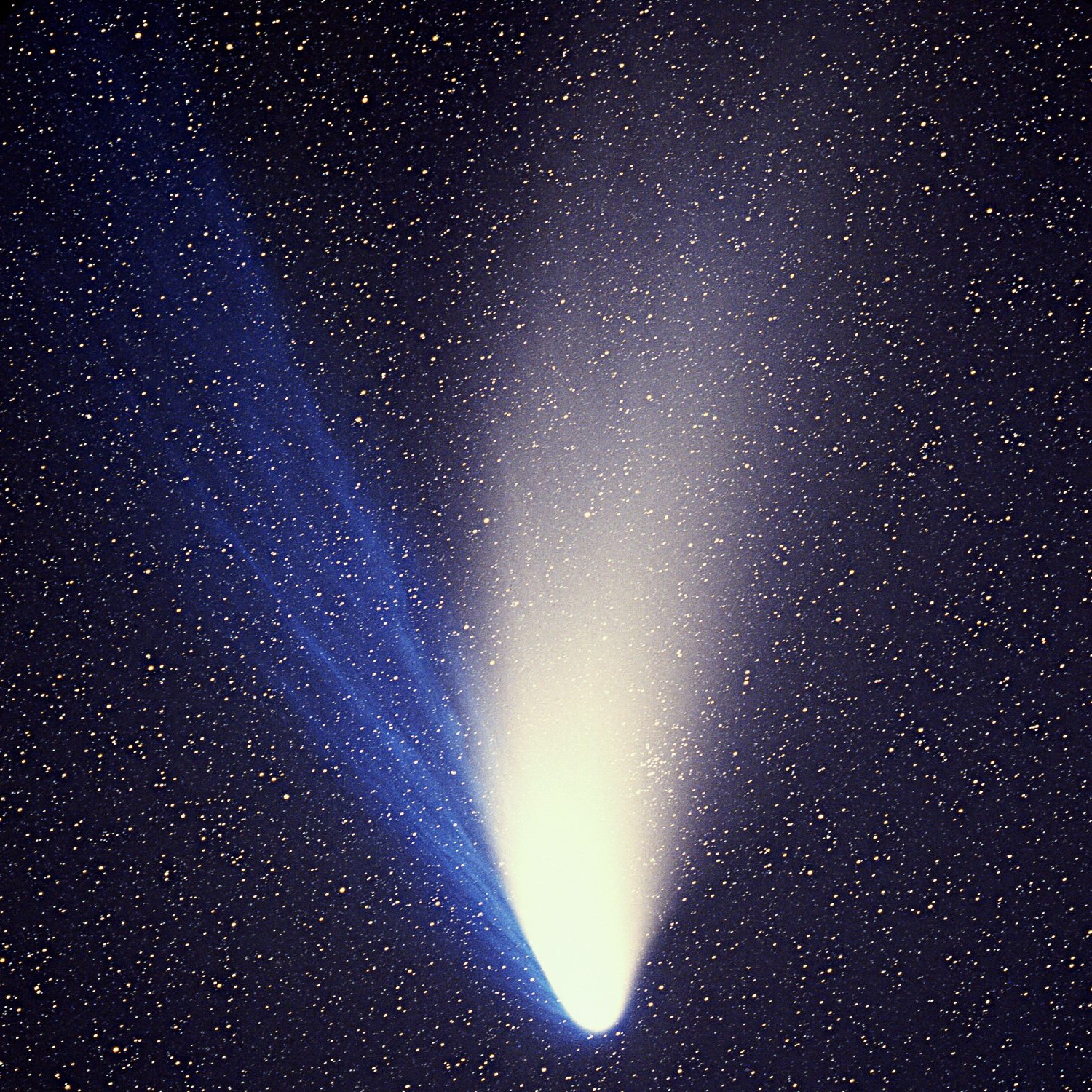 Image of a typical comet with a wide white tail and a second blue tail tilted 30 degrees counter-clockwise to the white tail.