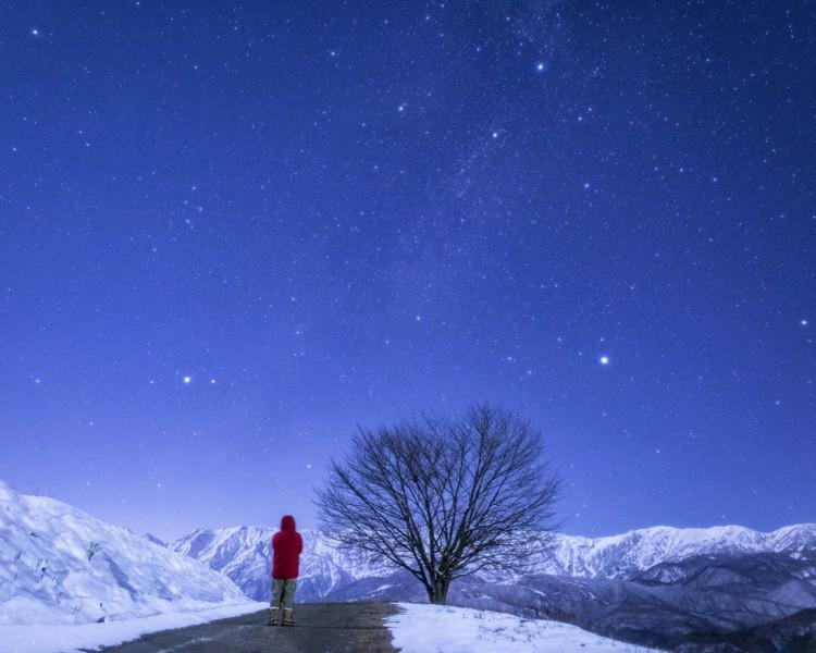 A person stands by a tree in a wintry landscape. Above, the sky is dominated by a large triangle of three bright stars.