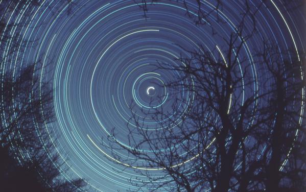 Bright star trails for arcs around the center of the image behind the silhouette of a tree