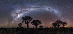 The arc of the Milky Way over some trees. Two small galaxies can be seen in the lower middle of the image.