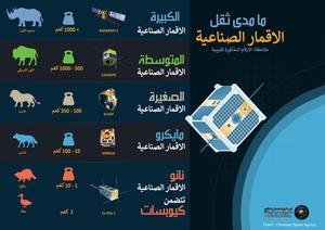 The masses of types of satellites compared to animals. From a rhino for the largest to a duck for the smallest