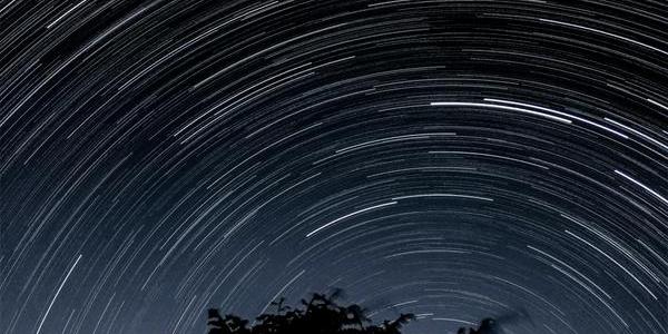 Hundreds of small arcs made by stars form circles centred on a point near the horizon. A tree stands in the foreground.